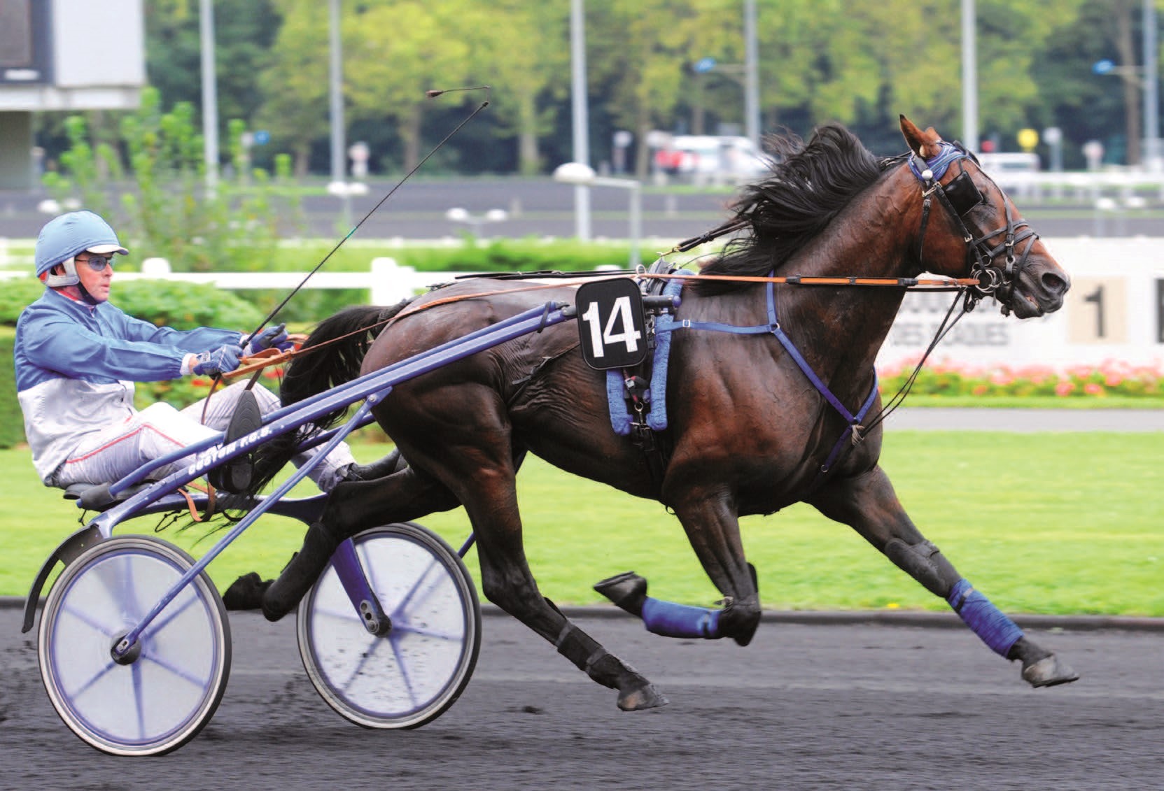 VERY NICE MARCEAUX © ScoopDyga
